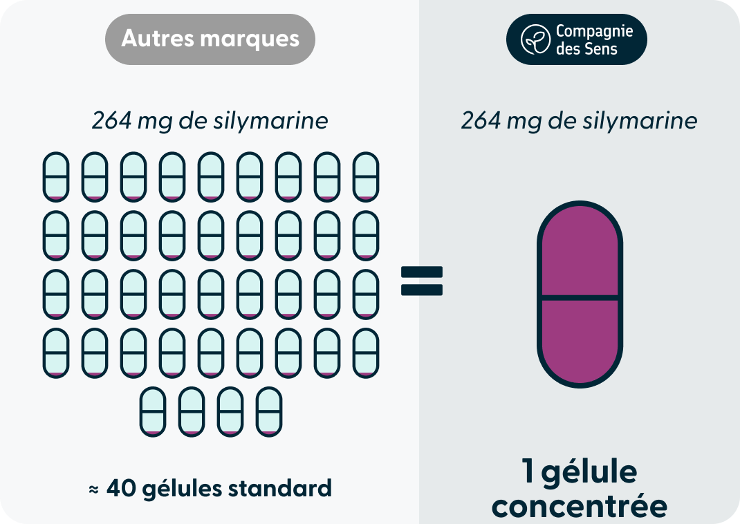 Teneur silymarine gélule